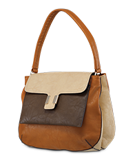 PL- 1881- Bolsa social.